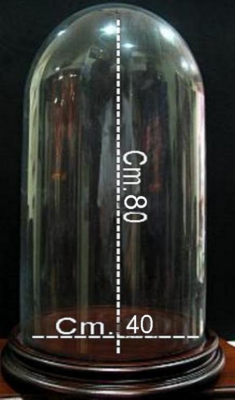 Campane di Vetro cm.40 x 80